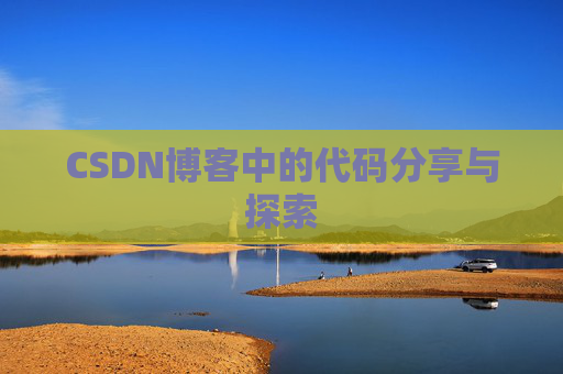 CSDN博客中的代码分享与探索